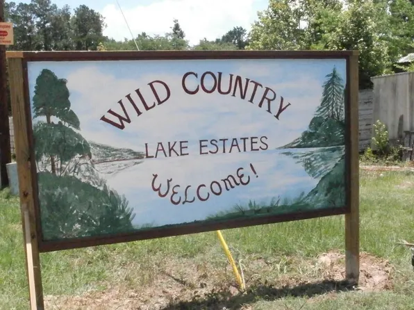 254 Bobby Baer Rd, Livingston, TX 77351