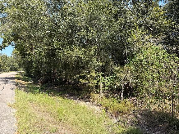 5th image of 20687 Live Oak Dr