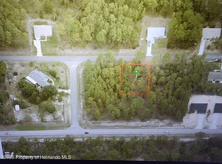 2364 W Elmore Loop, Citrus Springs, FL 34434