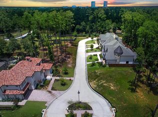 8 Honey Daffodil Pl, Spring, TX 77380