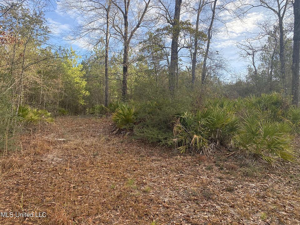 2nd image of Blue Lake Rd