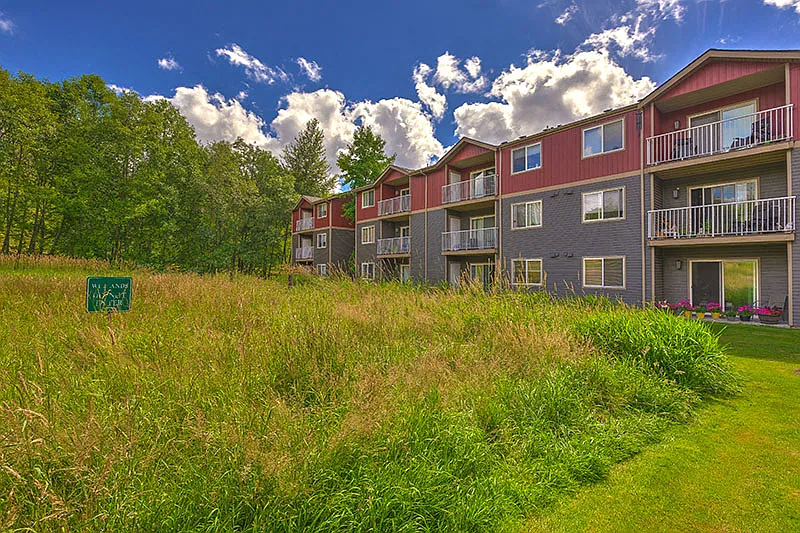 The Timbers by Vintage — Photo 4