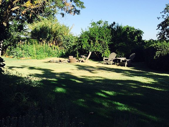 Back yard