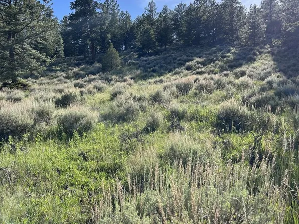 416 Comanche Cir, Red Feather Lakes, CO 80545
