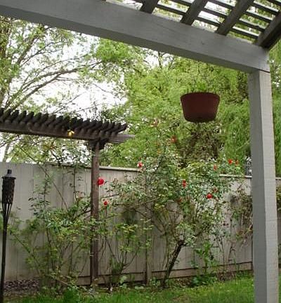 SHADE ARBOR BACKYARD