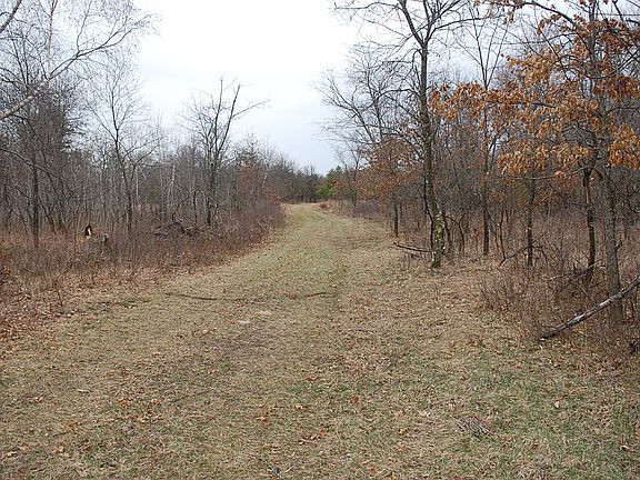 Trails for easy access