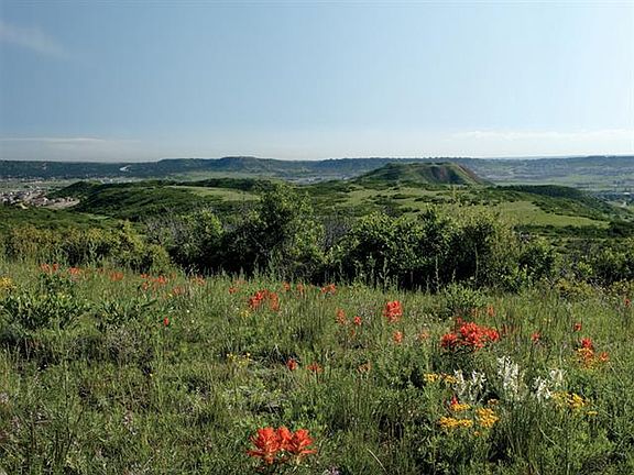5th image of 97 Stone Pointe Trl