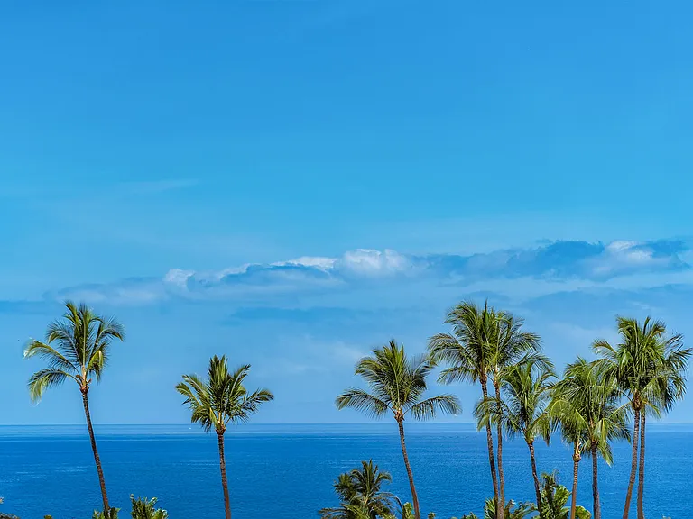 Wailea Alanui Dr — Photo 49