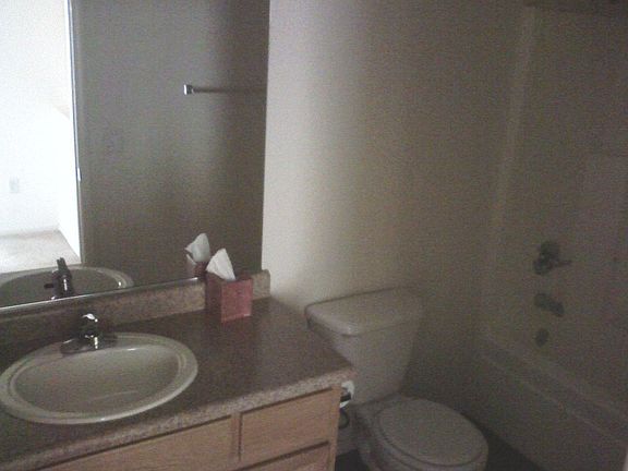 Hall Bathroom