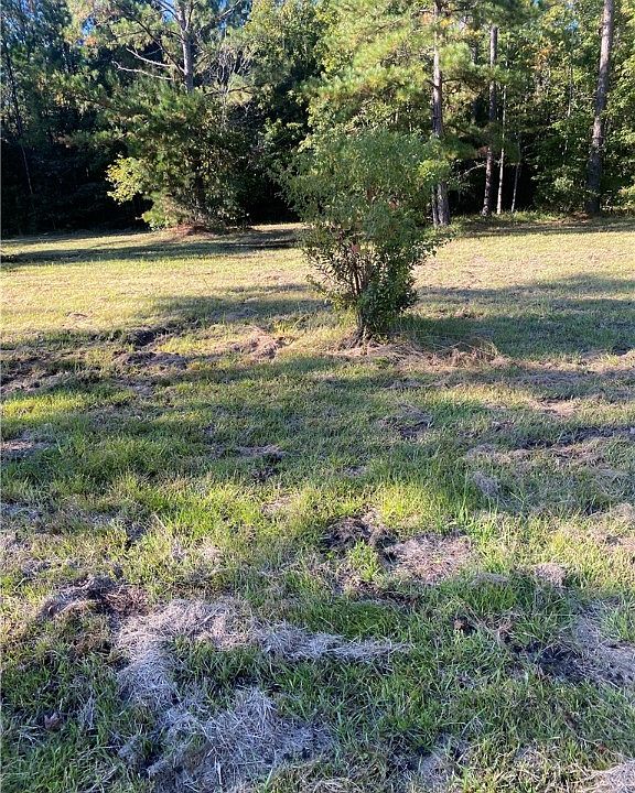 Shellman Bluff Lot A Ne Shellman Bluff Rd, Townsend, GA 31331 MLS