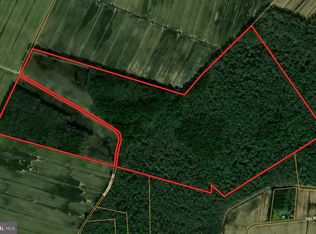 Blueberry Rd, Whaleyville, MD 21872