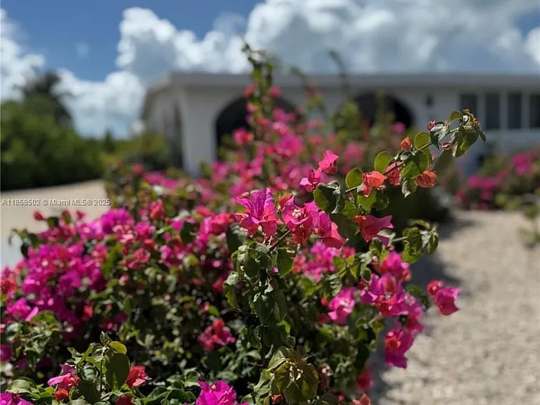 1301 Grouper Dr #A — Photo 13