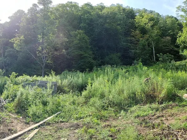 Left Poor Valley Rd, Pennington Gap, VA 24277