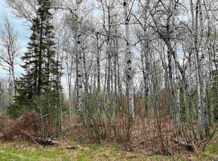 Xxx Orienta Falls Rd, Pt Wing, WI 54865