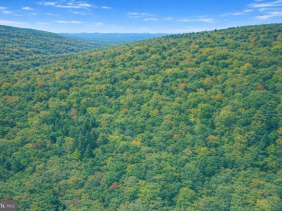 5th image of 169 Ridge Loop