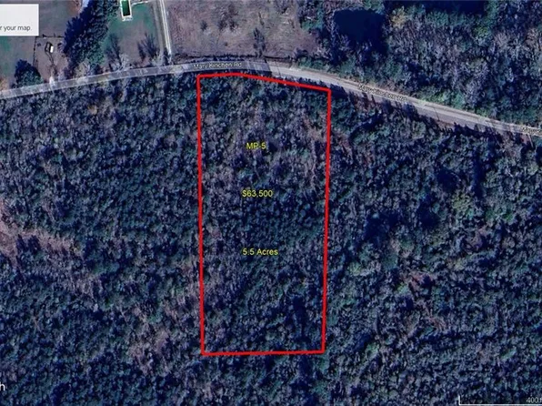 Mary Kinchen Rd, Albany, LA 70711