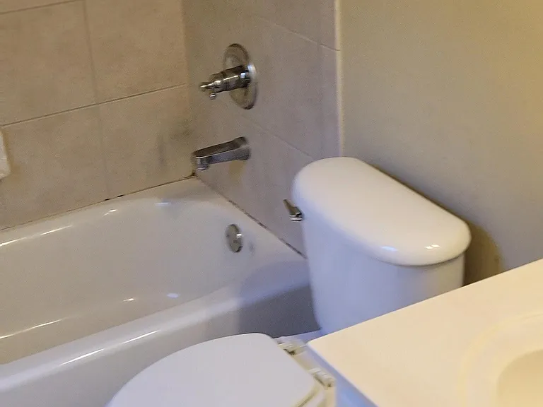 411 Wallis Farm Way — Photo 6