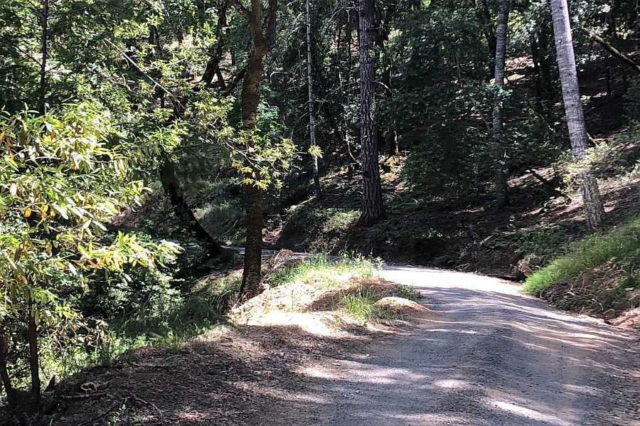 2nd image of 8820 Mill Creek Rd