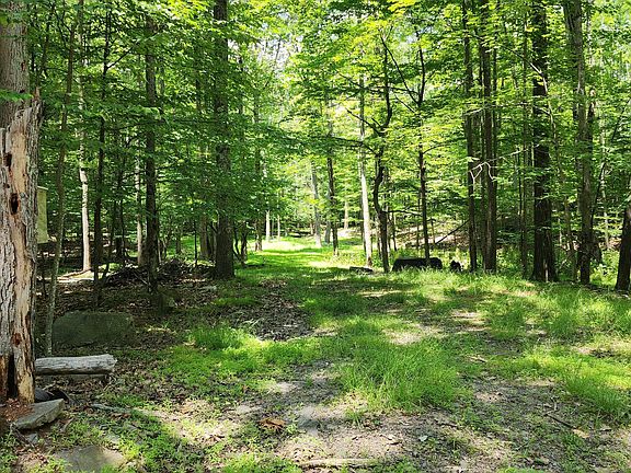 2nd image of 36 E Shore Dr #37
