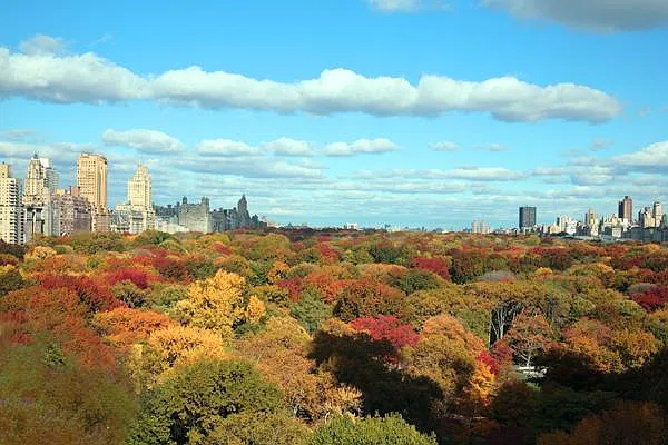 Rented by Corcoran | media 6