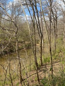 Walker Rd, Edgefield, SC, 29824