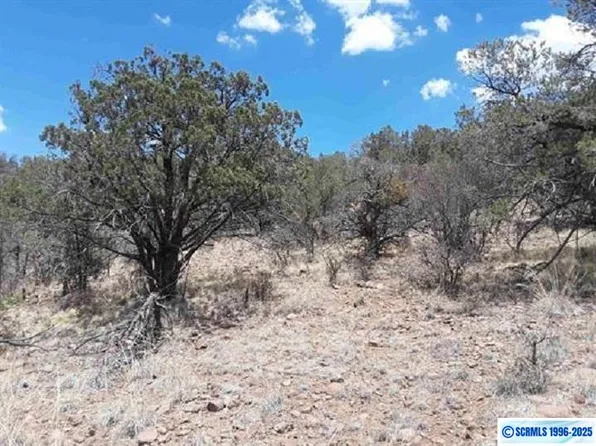 4746 N Swan St, Silver City, NM 88061