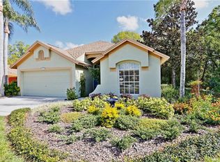 28939 Bay Tree Pl, Wesley Chapel, FL 33545