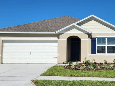 150 Amberwood Way, Umatilla, FL, 32784