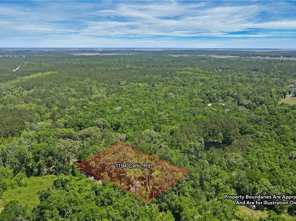 1194 Celtic Rd NE, Townsend, GA 31331
