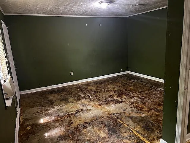 206B Gautier St — Photo 14