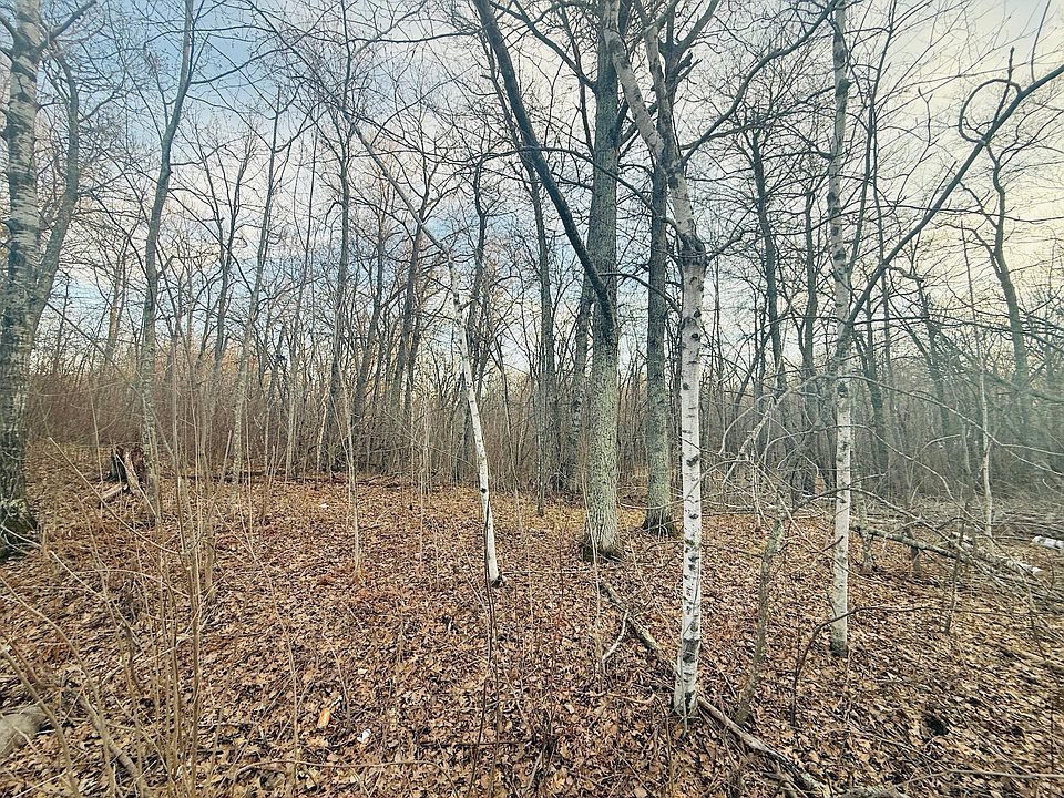 1st image of Ringneck Roost