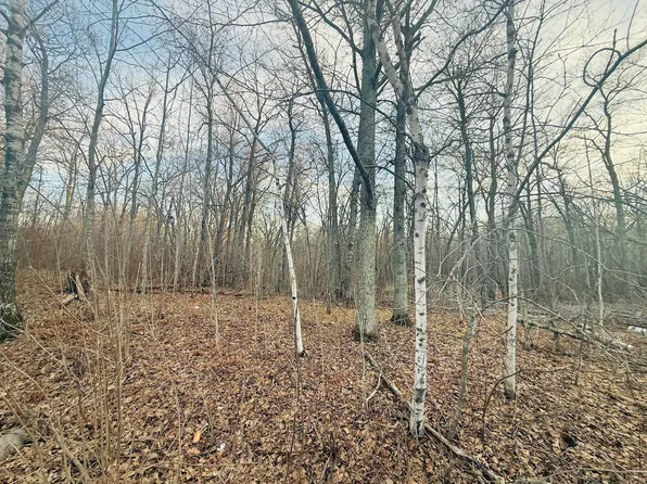 Ringneck Roost, Garrison, MN 56450