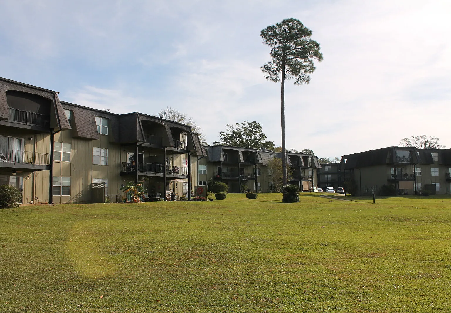 1 bed, 1.0 bath, $775 — Photo 1