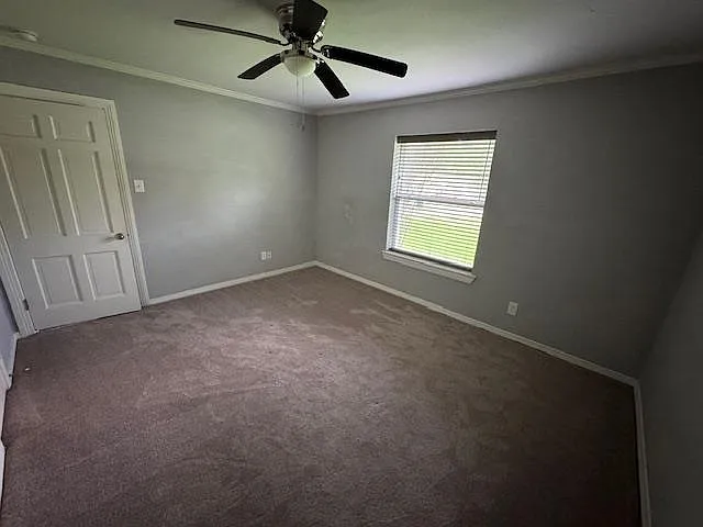 506 Peterson Rd — Photo 3