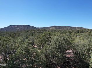 33848 W El Caballo Rd #2314, Seligman, AZ 86337