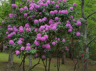 87 Whisper Ln, Blairsville, GA 30512