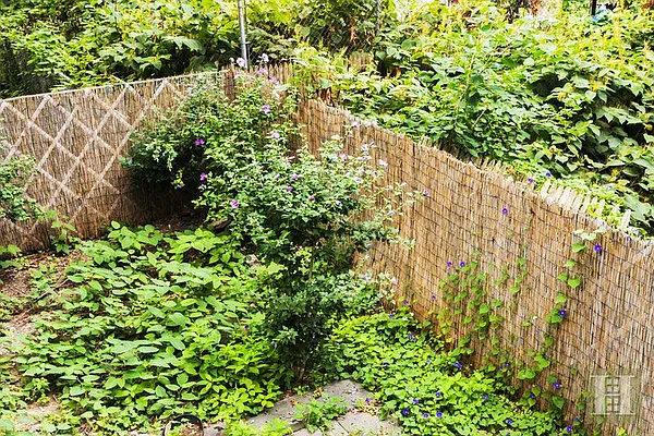 Rented by Halstead Real Estate | media 13