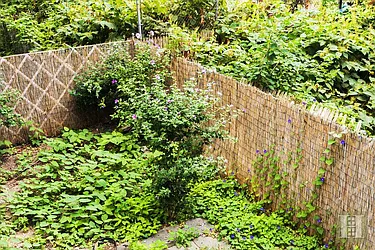 Rented by Halstead Real Estate