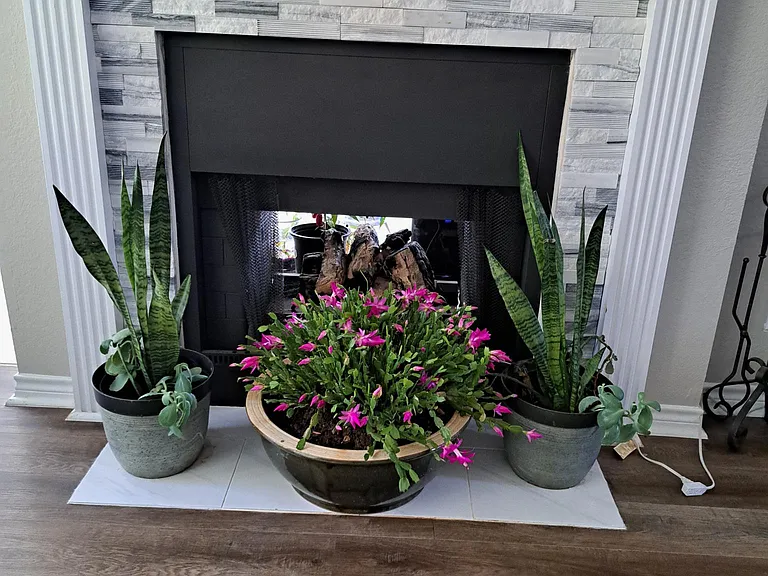2102 Mikasa Ct — Photo 17