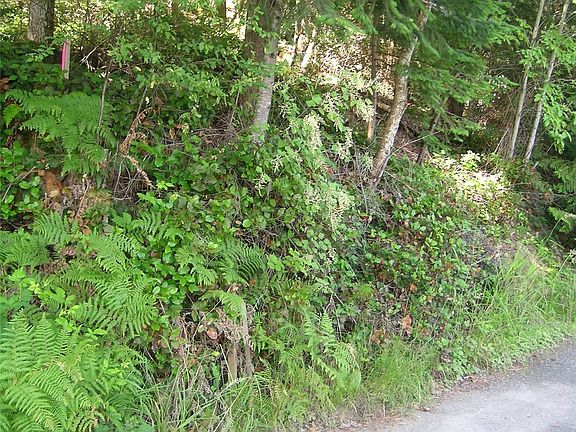 3rd image of 1687 Emerald Lake Rd