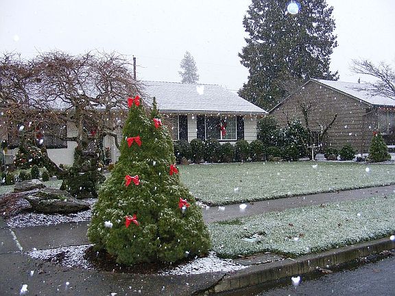 Front exterior lawn during Christmas snow