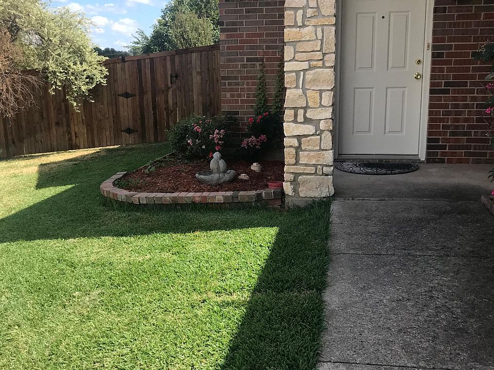 Roses bushes welcome you home