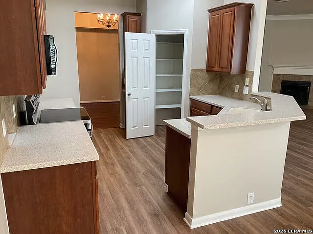 26111 Lookout Fls — Photo 12