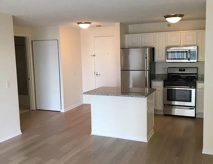 545 N Dearborn St #2102 — Photo 9