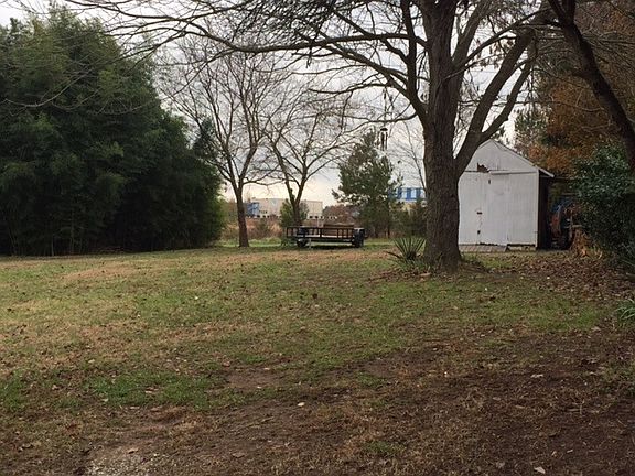 Back yard