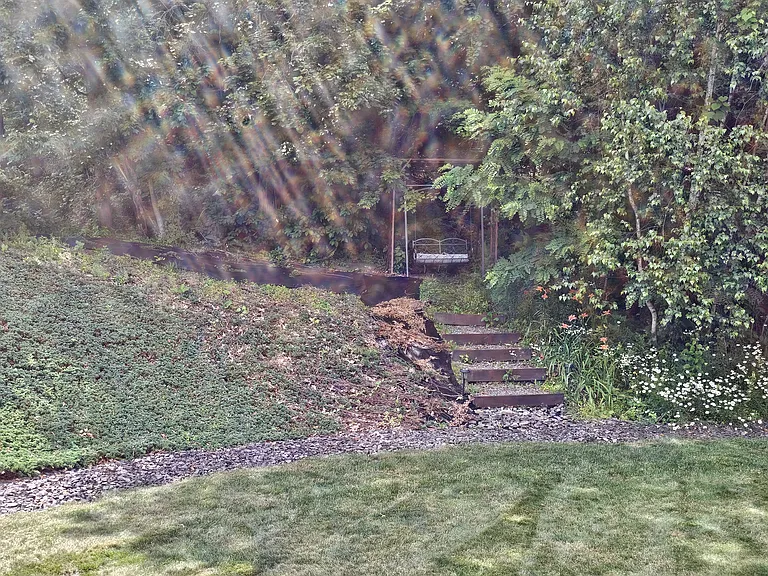 45 Somerset Dr — Photo 35