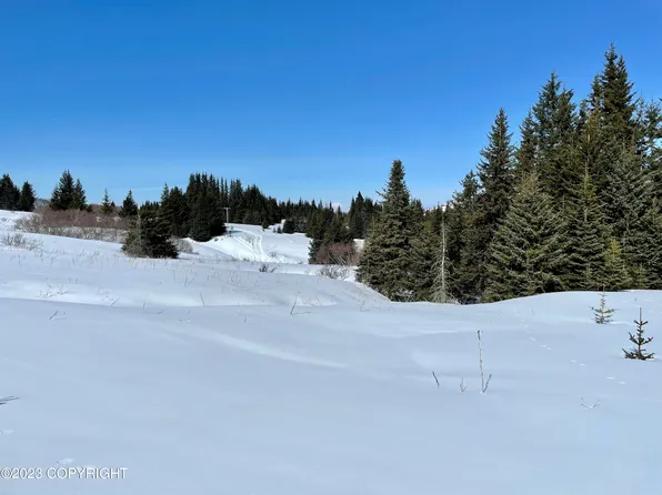 40112 Talley St, Homer, AK 99603