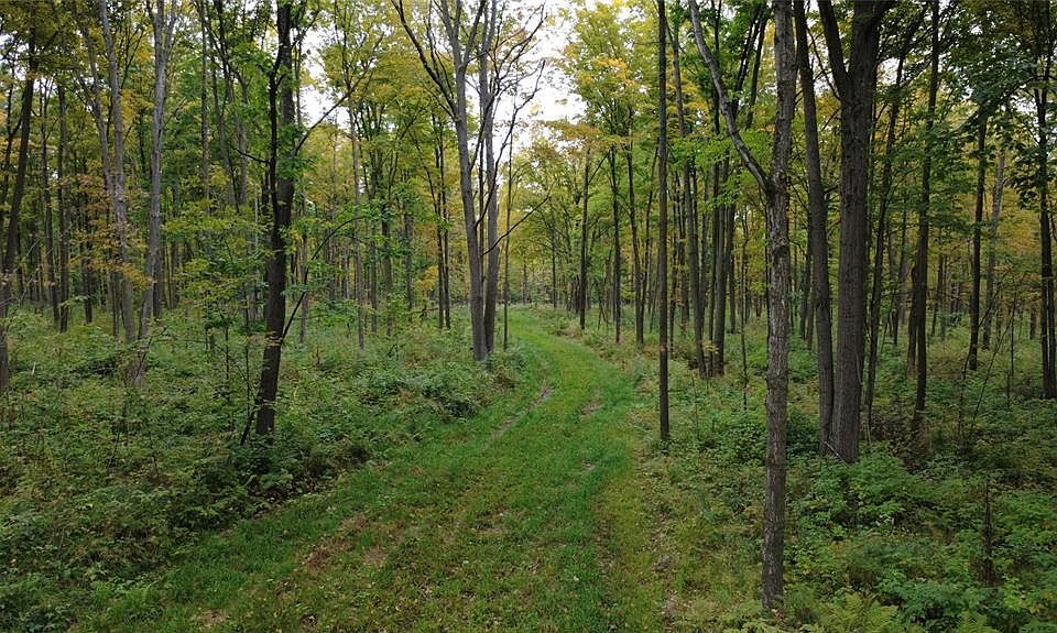 1st image of 000 Nehrbass Road