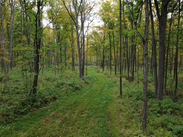 000 Nehrbass Road, Athens, WI 54411