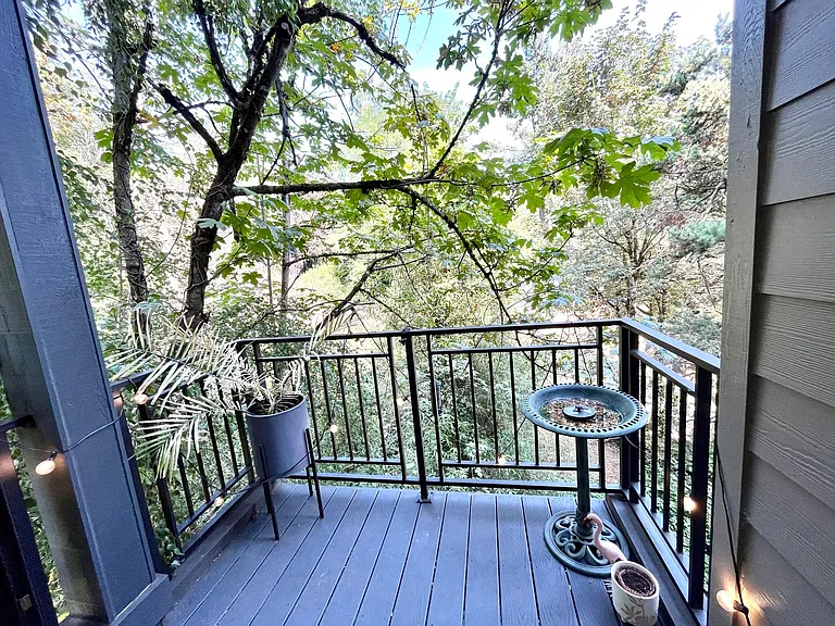 Patio 1